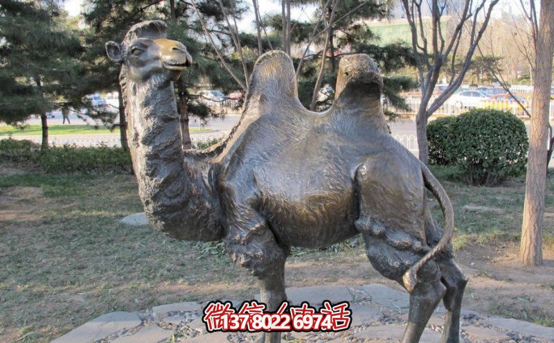 創(chuàng)意大型玻璃鋼駱駝雕塑，在草地上擺放，一眼回頭